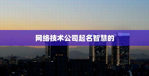网络技术公司起名智慧的