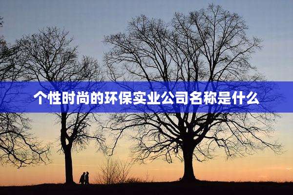 个性时尚的环保实业公司名称是什么