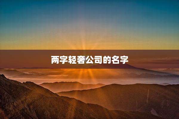 两字轻奢公司的名字