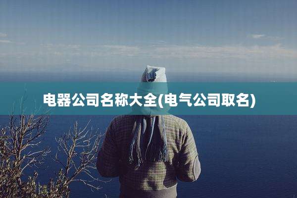 电器公司名称大全(电气公司取名)