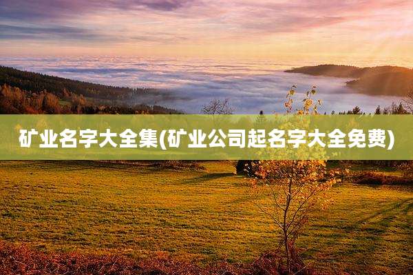 矿业名字大全集(矿业公司起名字大全免费)