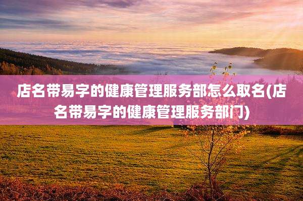 店名带易字的健康管理服务部怎么取名(店名带易字的健康管理服务部门)