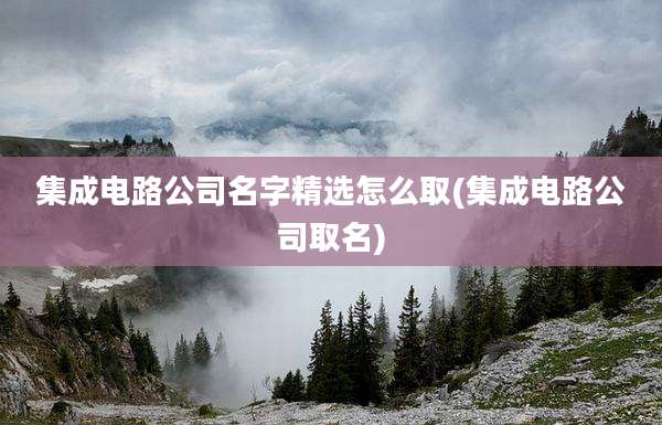 集成电路公司名字精选怎么取(集成电路公司取名)