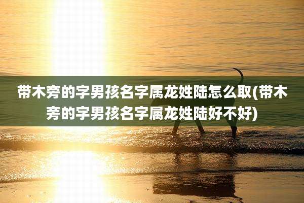 带木旁的字男孩名字属龙姓陆怎么取(带木旁的字男孩名字属龙姓陆好不好)