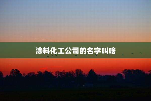 涂料化工公司的名字叫啥