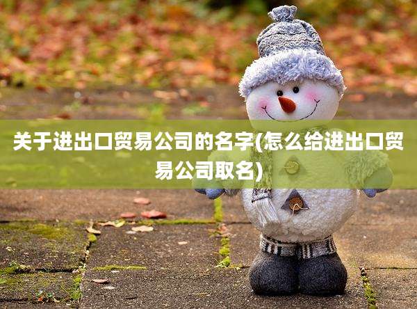 关于进出口贸易公司的名字(怎么给进出口贸易公司取名)