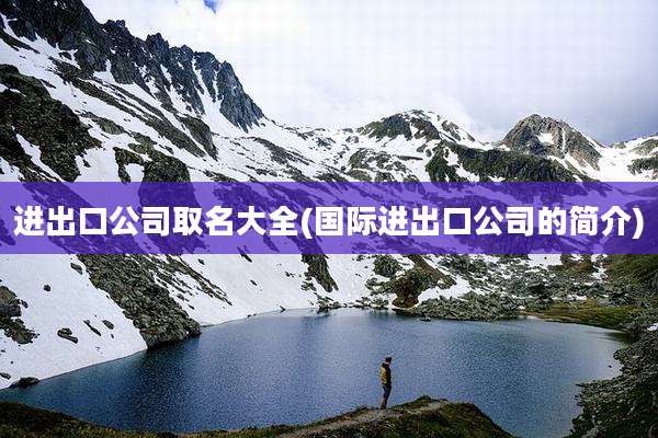 进出口公司取名大全(国际进出口公司的简介)