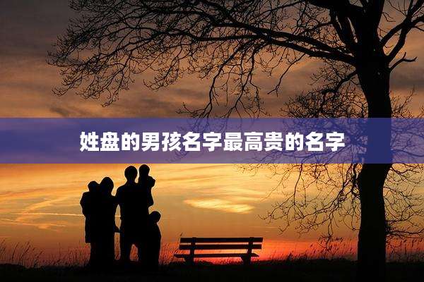 姓盘的男孩名字最高贵的名字