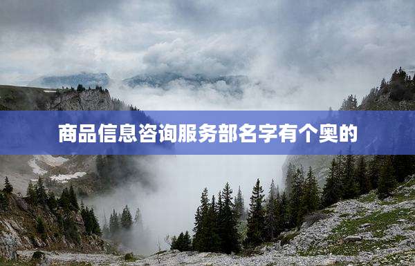 商品信息咨询服务部名字有个奥的