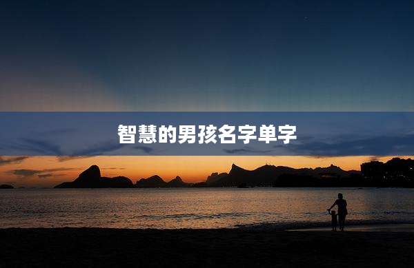 智慧的男孩名字单字