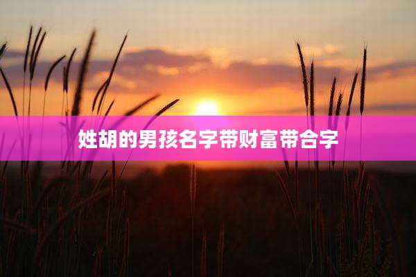 姓胡的男孩名字带财富带合字