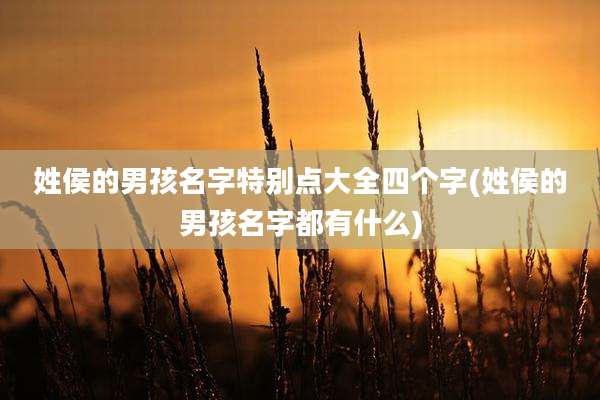 姓侯的男孩名字特别点大全四个字(姓侯的男孩名字都有什么)