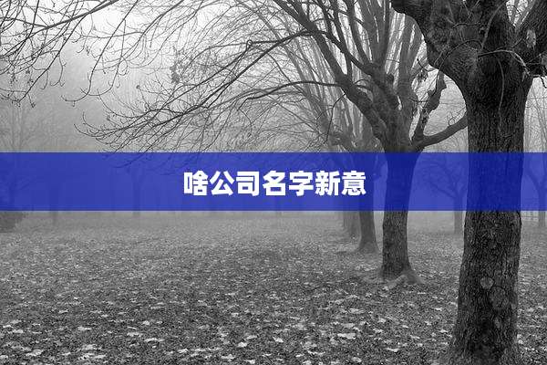 啥公司名字新意