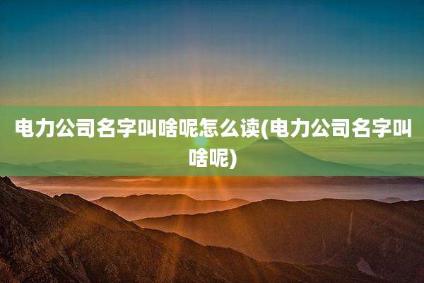电力公司名字叫啥呢怎么读(电力公司名字叫啥呢)