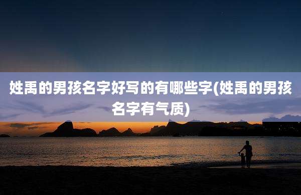 姓禹的男孩名字好写的有哪些字(姓禹的男孩名字有气质)