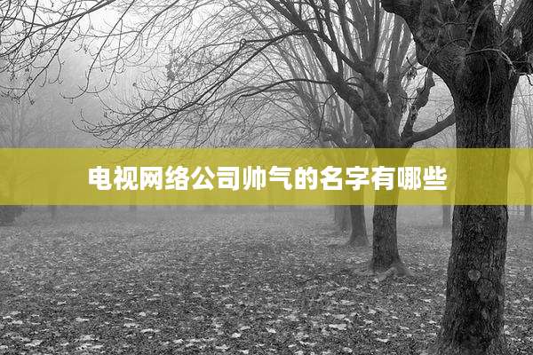 电视网络公司帅气的名字有哪些