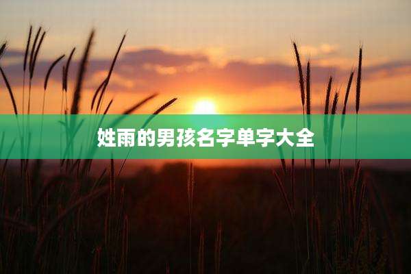 姓雨的男孩名字单字大全