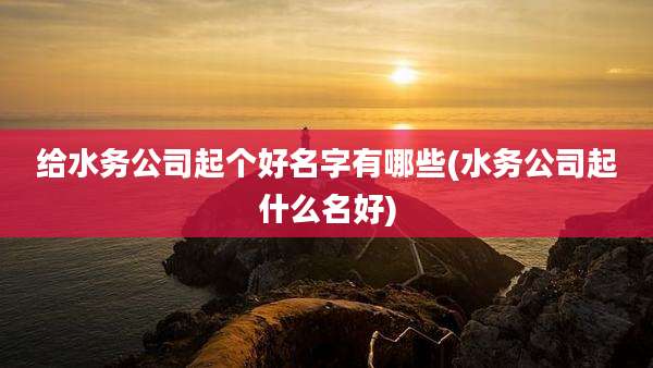 给水务公司起个好名字有哪些(水务公司起什么名好)