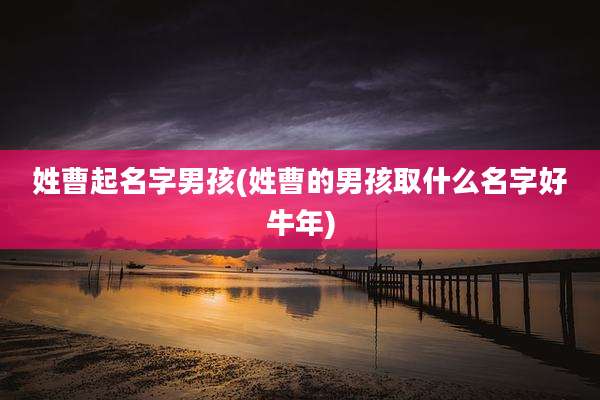 姓曹起名字男孩(姓曹的男孩取什么名字好牛年)