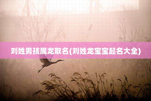 刘姓男孩属龙取名(刘姓龙宝宝起名大全)