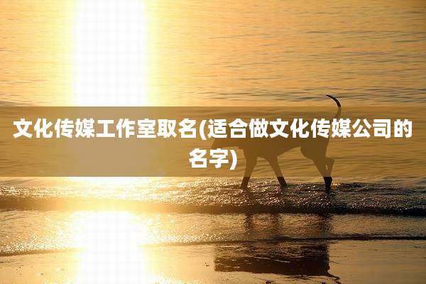 文化传媒工作室取名(适合做文化传媒公司的名字)