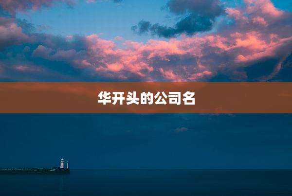 华开头的公司名
