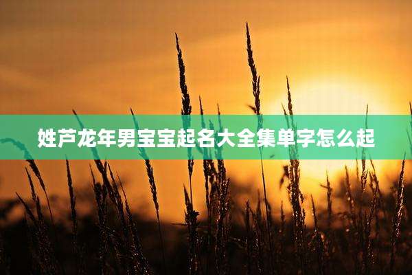 姓芦龙年男宝宝起名大全集单字怎么起