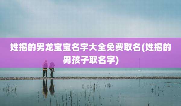 姓揭的男龙宝宝名字大全免费取名(姓揭的男孩子取名字)