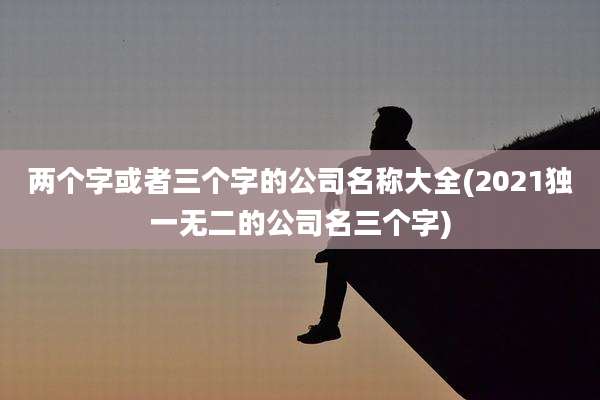 两个字或者三个字的公司名称大全(2021独一无二的公司名三个字)