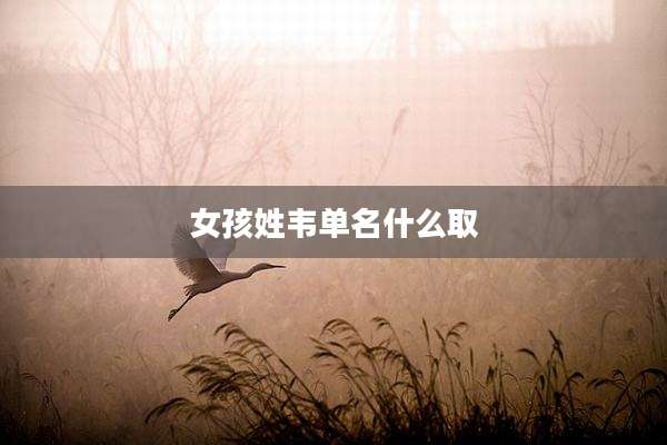 女孩姓韦单名什么取