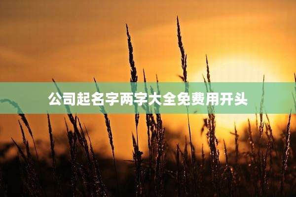 公司起名字两字大全免费用开头