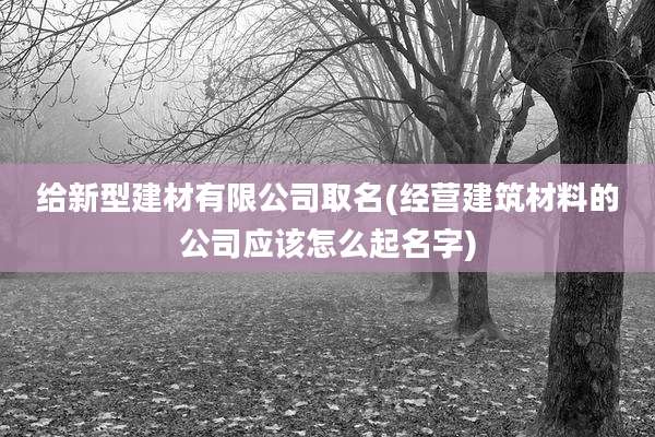 给新型建材有限公司取名(经营建筑材料的公司应该怎么起名字)