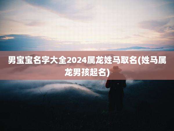 男宝宝名字大全2024属龙姓马取名(姓马属龙男孩起名)
