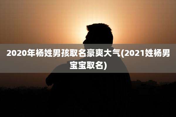 2020年杨姓男孩取名豪爽大气(2021姓杨男宝宝取名)