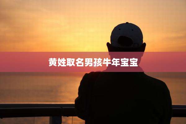 黄姓取名男孩牛年宝宝