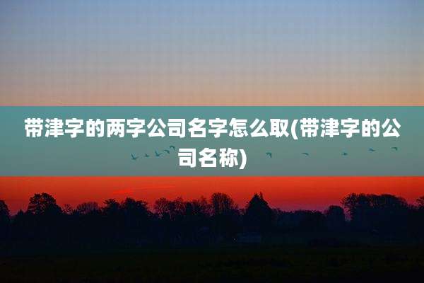 带津字的两字公司名字怎么取(带津字的公司名称)