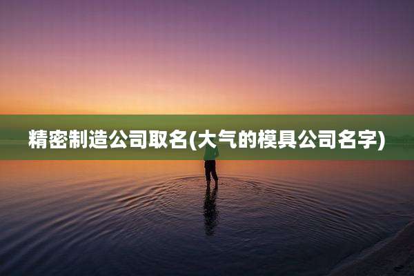 精密制造公司取名(大气的模具公司名字)