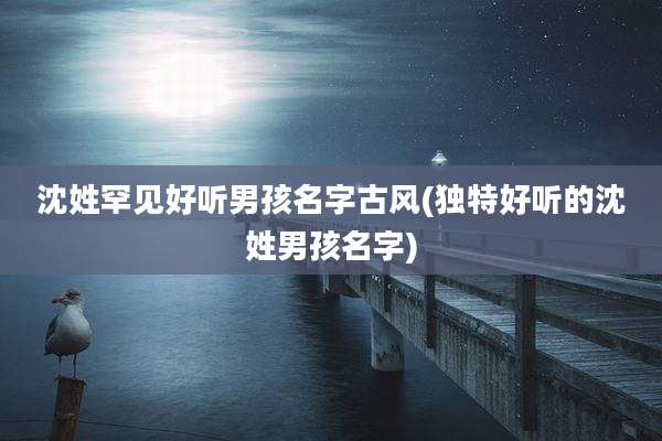 沈姓罕见好听男孩名字古风(独特好听的沈姓男孩名字)
