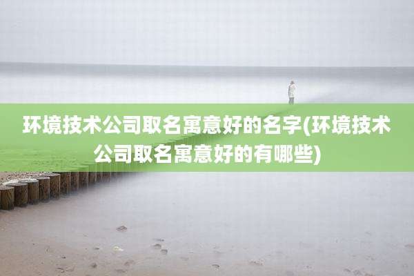 环境技术公司取名寓意好的名字(环境技术公司取名寓意好的有哪些)