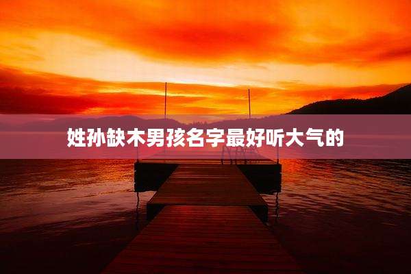 姓孙缺木男孩名字最好听大气的