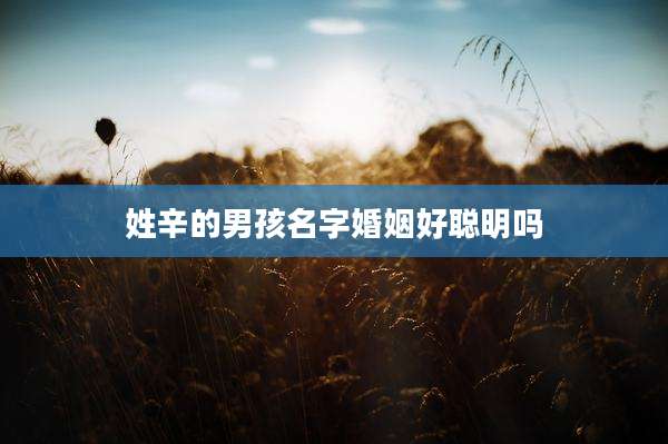 姓辛的男孩名字婚姻好聪明吗