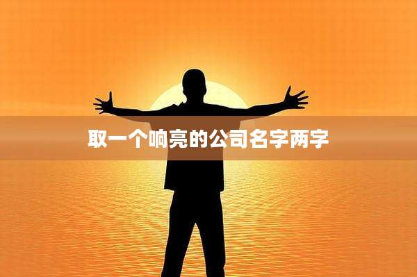 取一个响亮的公司名字两字