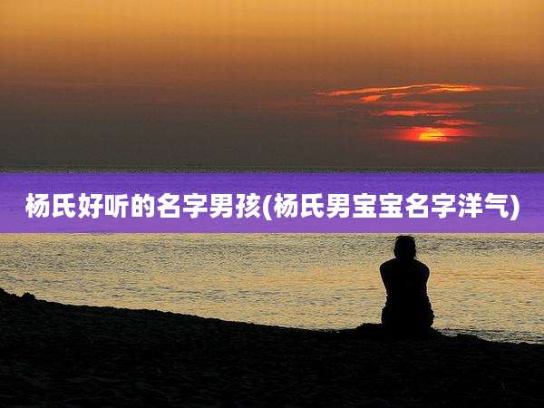 杨氏好听的名字男孩(杨氏男宝宝名字洋气)