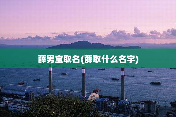 薛男宝取名(薛取什么名字)