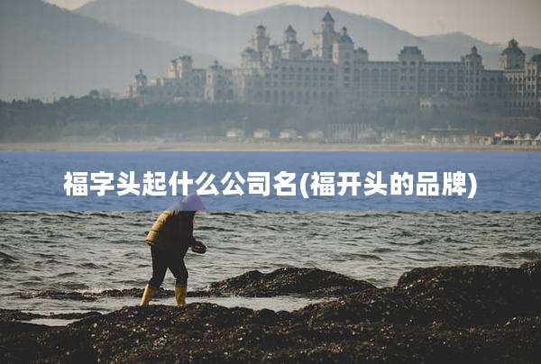 福字头起什么公司名(福开头的品牌)