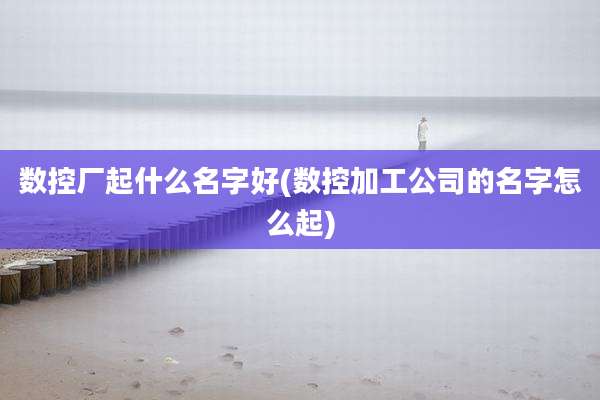 数控厂起什么名字好(数控加工公司的名字怎么起)