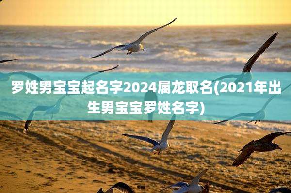 罗姓男宝宝起名字2024属龙取名(2021年出生男宝宝罗姓名字)