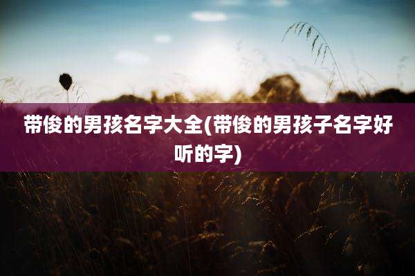 带俊的男孩名字大全(带俊的男孩子名字好听的字)