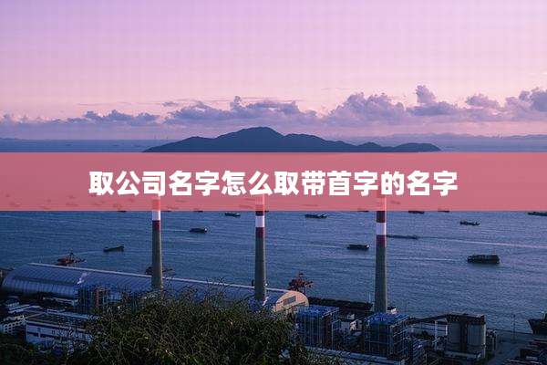 取公司名字怎么取带首字的名字