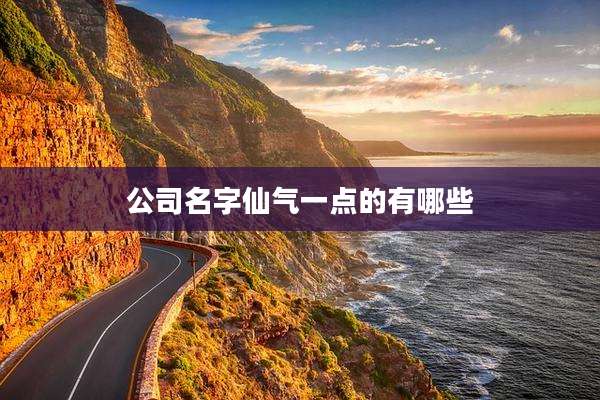公司名字仙气一点的有哪些